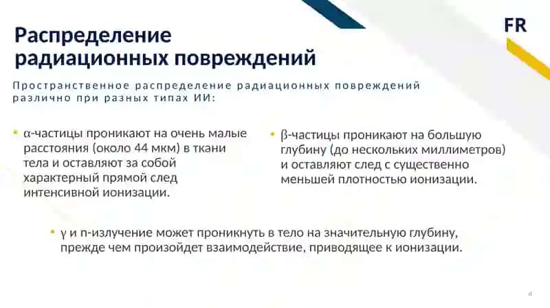 Действие ионизирующих лучей на клетку 4
