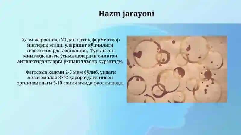 Fagotsitoz jarayoni 4