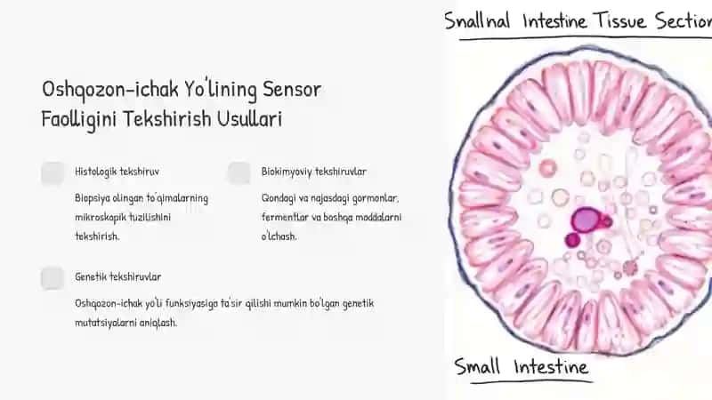 Oshqozon-ichak Yo'lining Harakat Faolligini Tekshirish Usullari 4