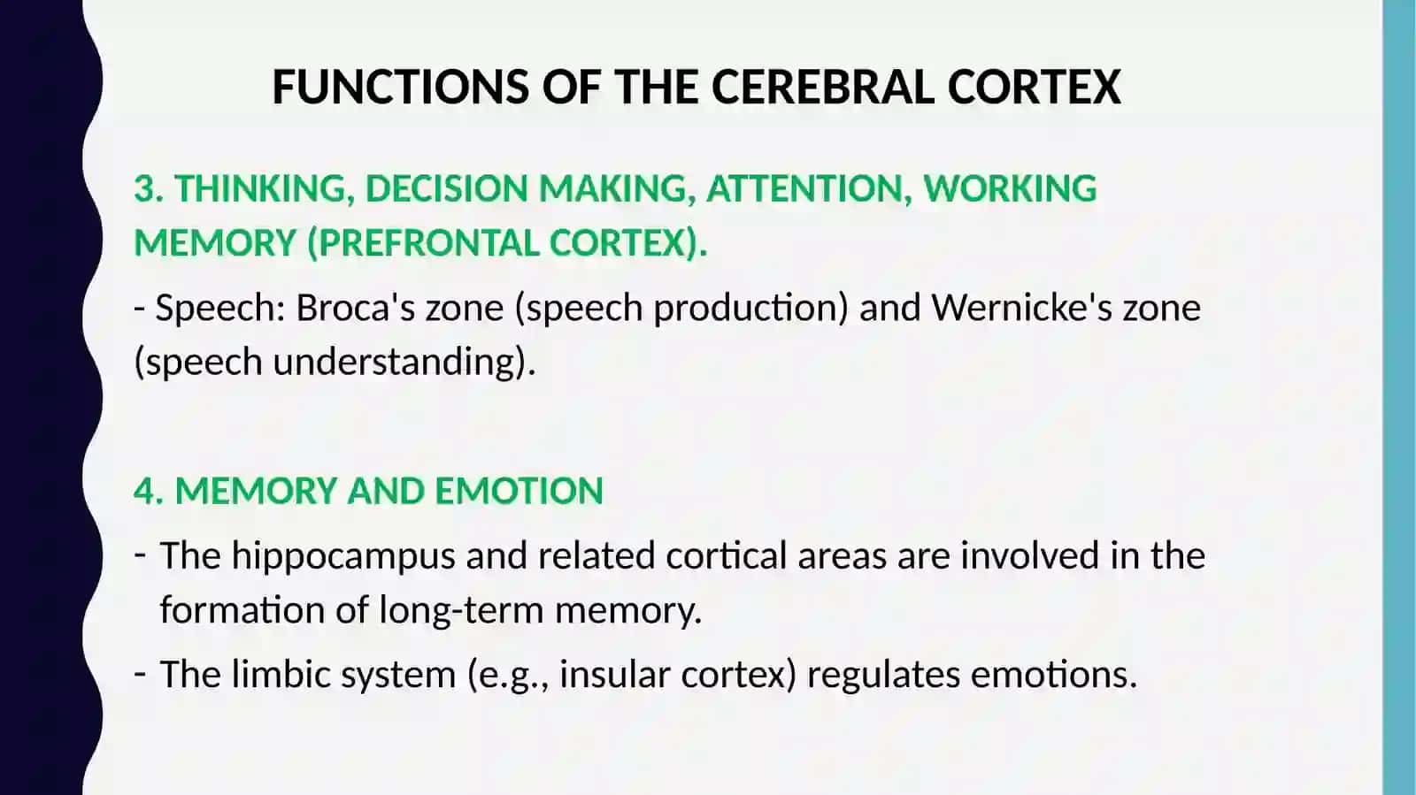 FUNKSIYALAR CEREBRAL CORTEX 4