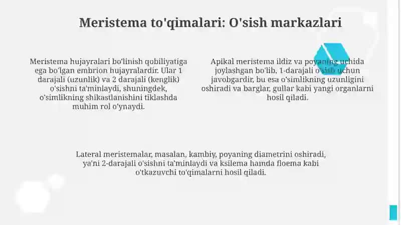 O'simliklar to'qimalari 4