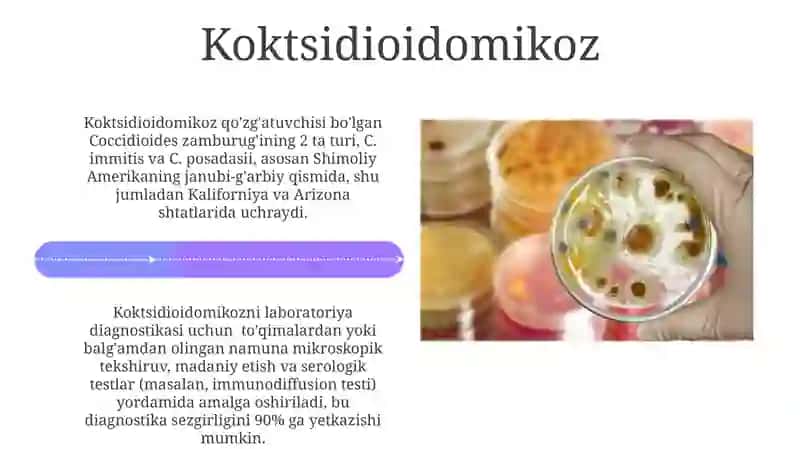 Zamburugʻli kasalliklarning qoʻzgʻatuvchilari, patogenezi, laboratoriya tashxisi 4