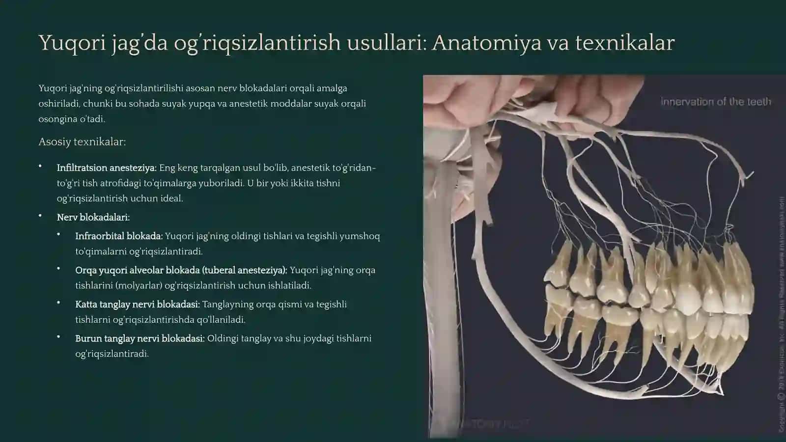 yuqori va pastki tishlarda og’riqsizlantirish usullari 4