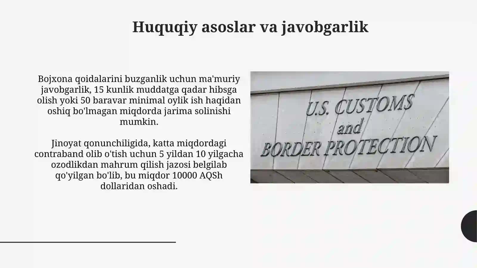 Божхона назоратини кучайтириш ва контрабандага қарши самарали чора-тадбирлар 4