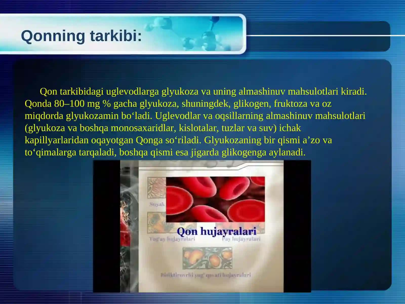 Qon tizimining fiziologiyasi 4