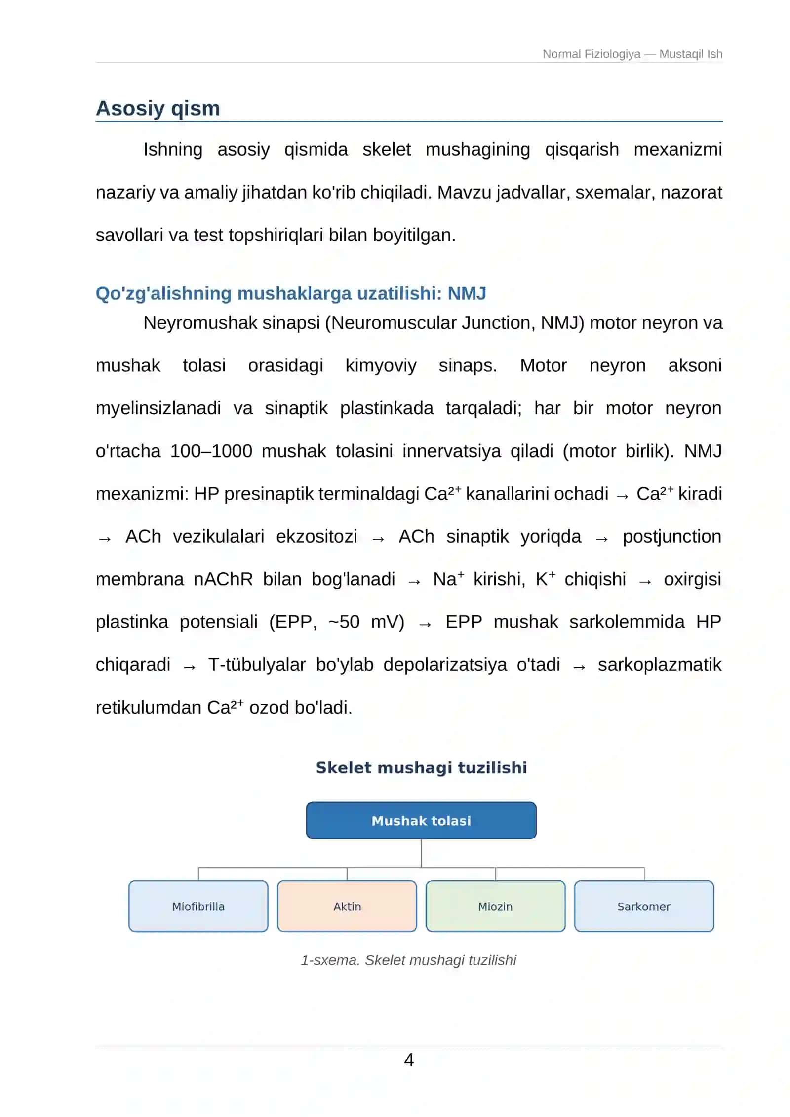 Skelet mushaklarining qisqarish fiziologiyasi 4