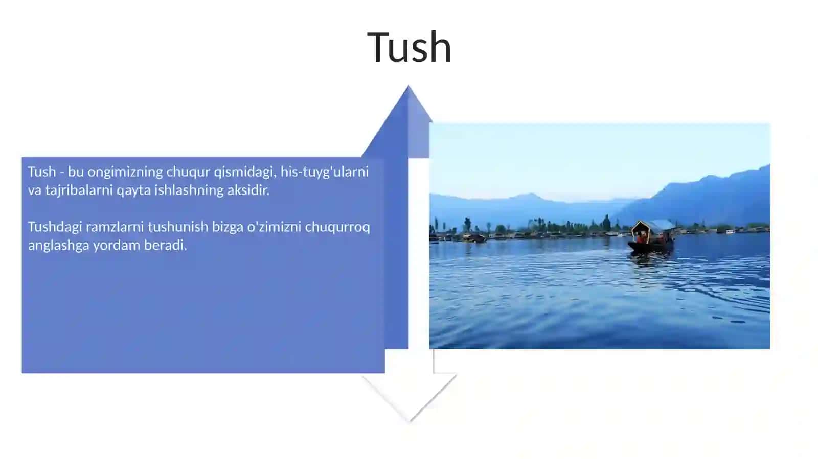 Tush 4