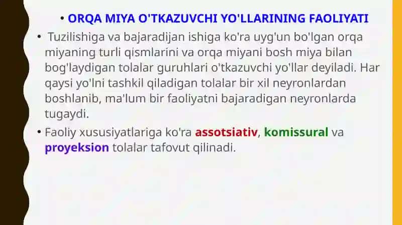 Orqa Miya 4