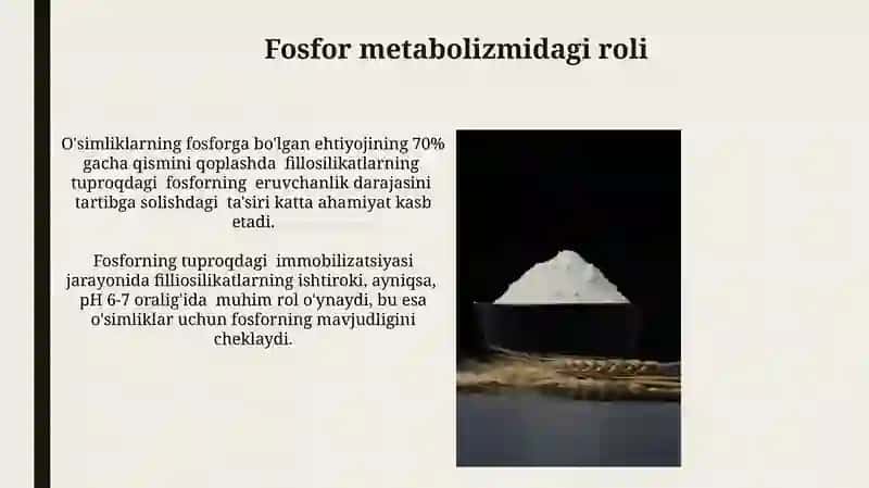 Fillosilikatlarning tuzilishi va xossalari 4