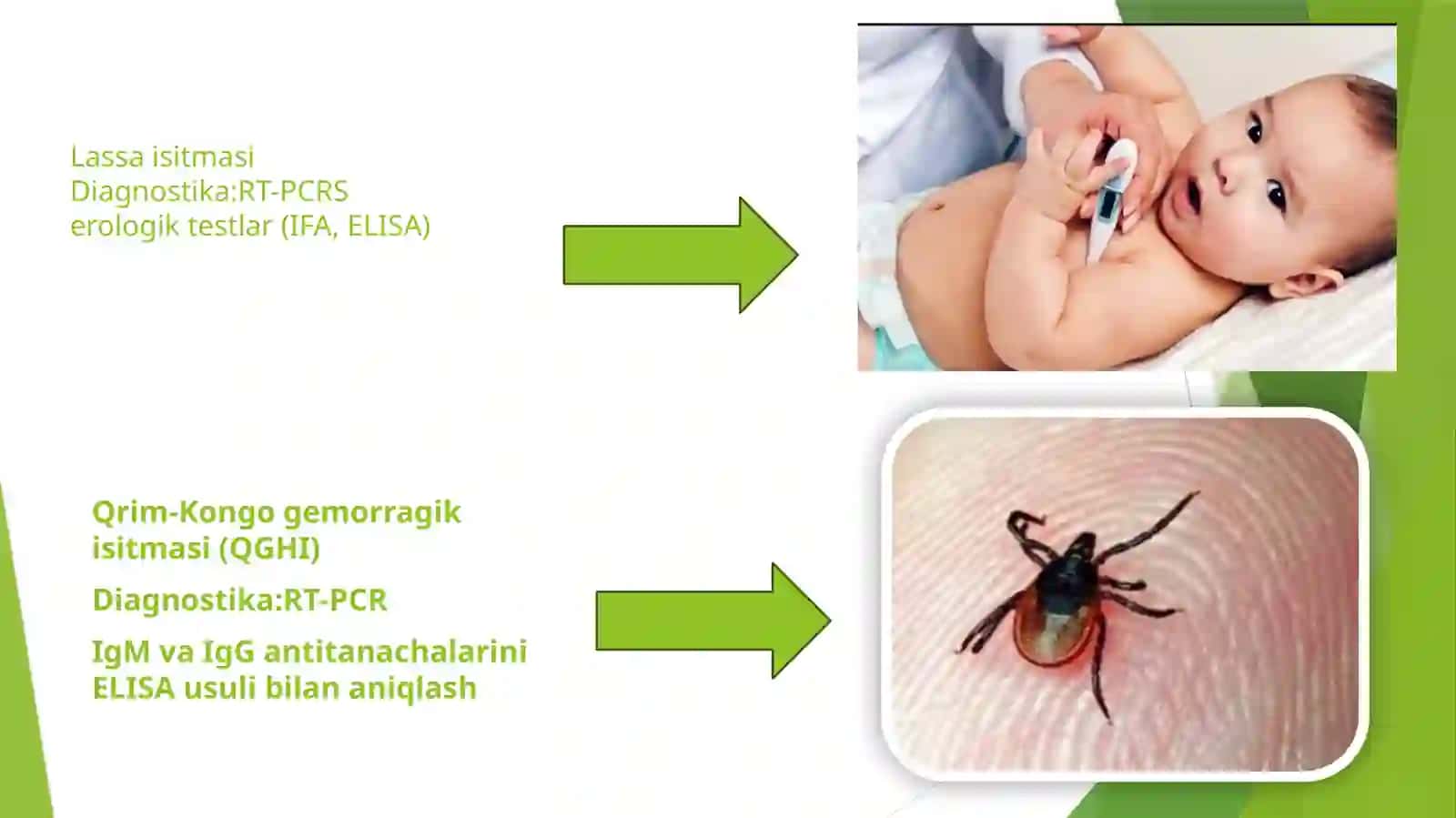 Oʻtaxavfli kasalliklarning qoʻzgʻatuvchilari labaratoriya diagnostikasi 4
