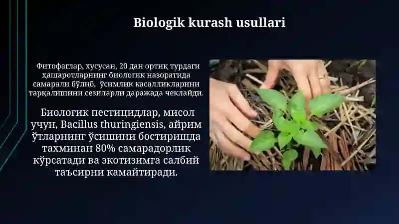 Begona oʻtlar tuproq iqlim sharoiti tarqalishi va ularga qarshi kurash 4