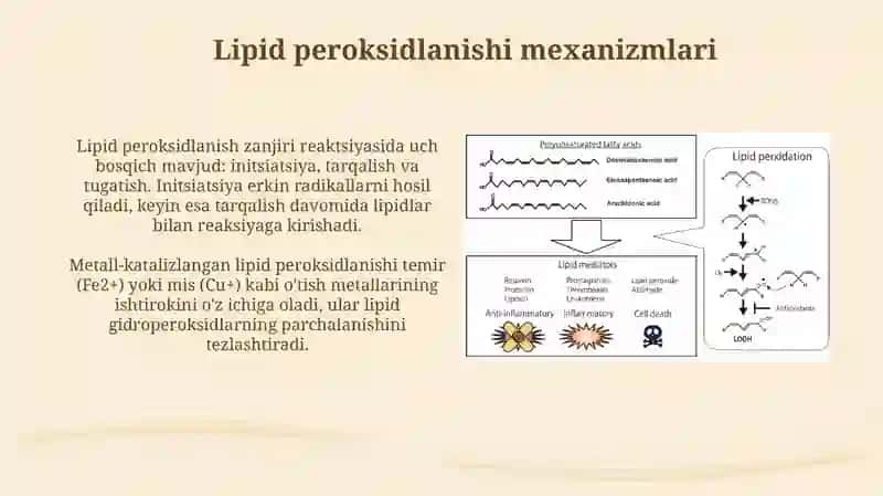 Lipidlarni peroksidlanishi va hujayra shikastlanishi patogenizadagi ahamiyati 4