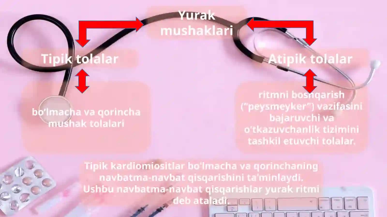 Yurak faoliyati boshqarilishining o’ziga xosligi 4
