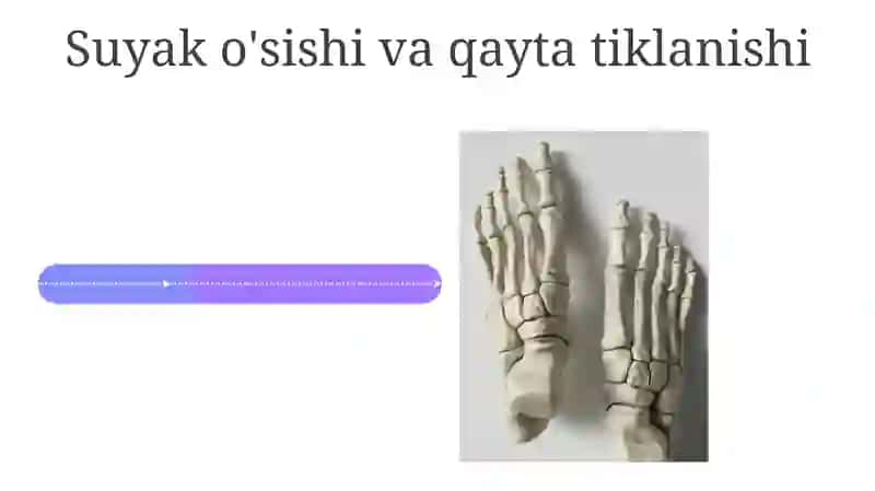 Qo'l suyagi variantlari 4