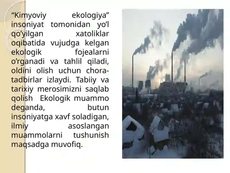 O’ZBEKITON KO’LLARI OROLMUAMMOLARI VA KELAJAGI 4