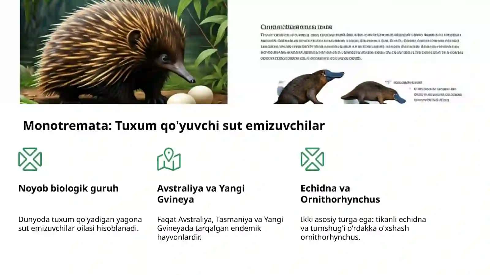 Sut Emizuvchilar: Turlari va Sistematikasi 4