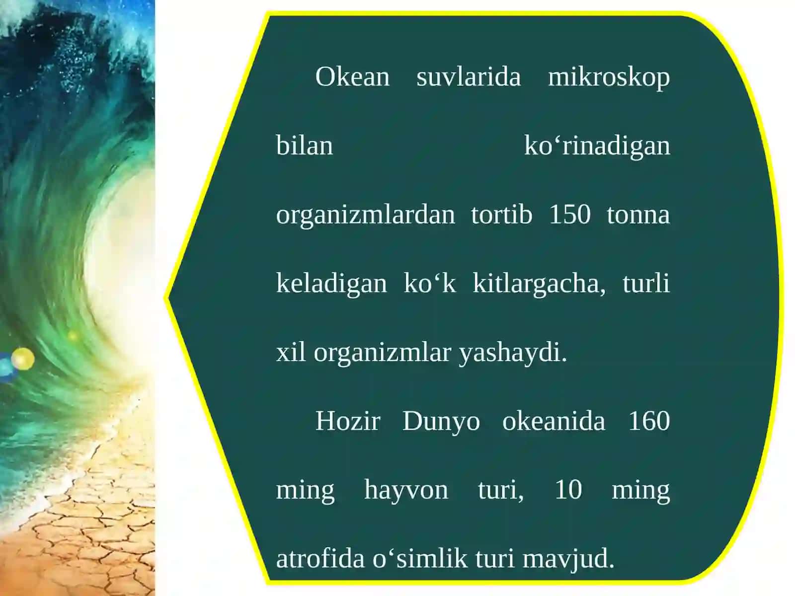 Okean  boyliklari,  ulardan  foydalanish  va  muhofaza  qilish 4