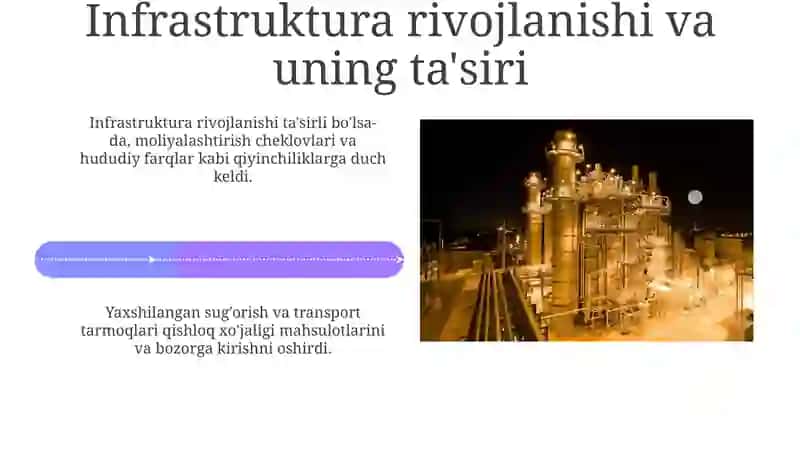 Mustaqillik yillarida qishloq xo'jaligi va sanoat sohasidagi o'zgarishlar 4