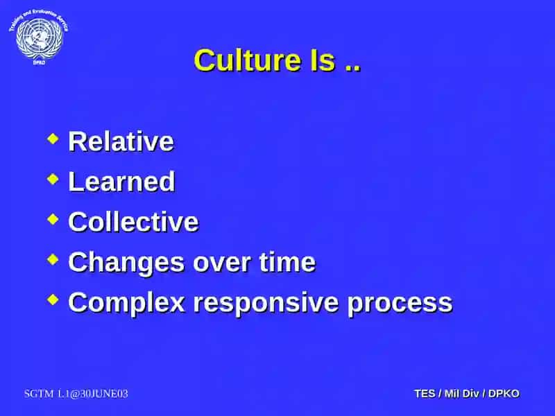 Cultural Awareness 4
