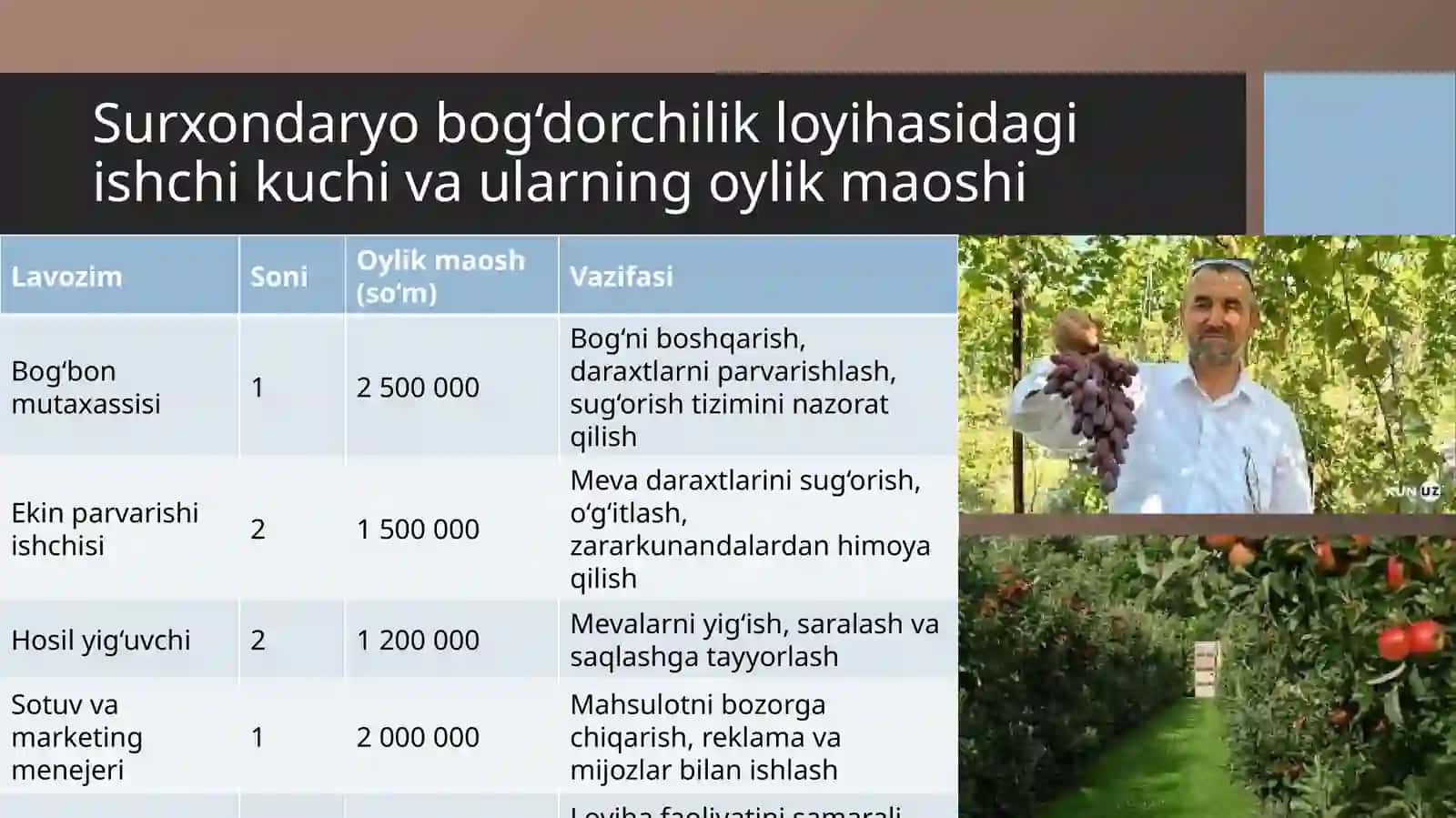 (100 millionlik loyiha ishi)  Surxondaryoda bog‘dorchilik Loyihasi 4