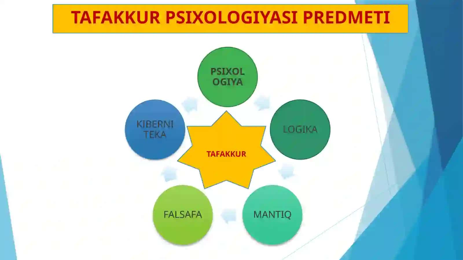 Tafakkur 4