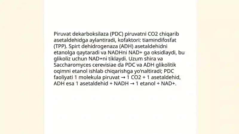 Mikrob produsentlar yordamida etanol olishning biokimyoviy asoslari 4