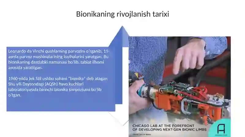 Bionika asoslari va uning inson hayotidagi oʻrni 4