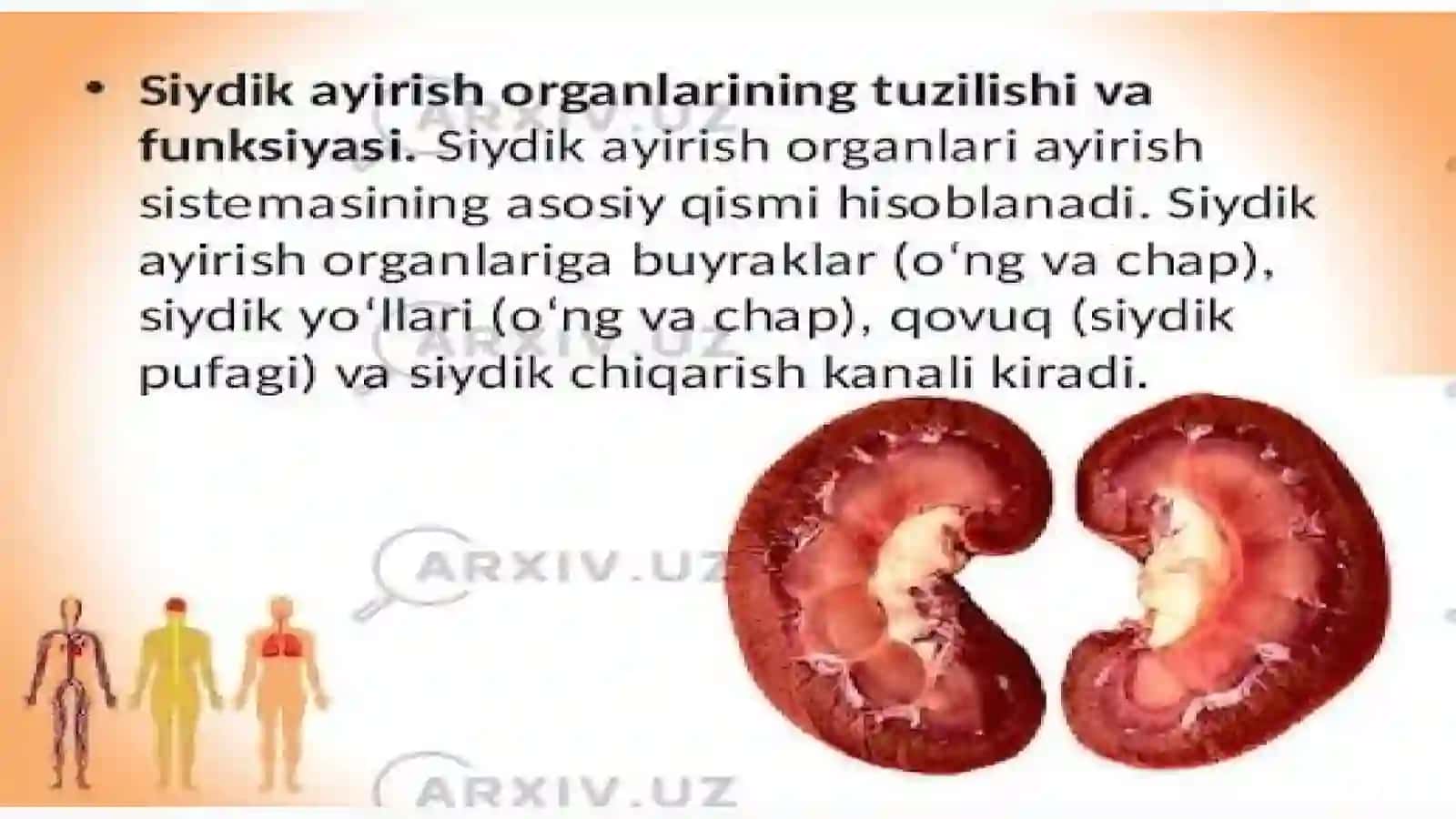Siydik ayirish azolarining kasalliklari 4