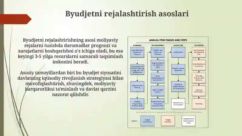 Byudjet jarayoni, rejalashtirish tasdiqlash va ijro 4