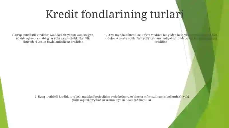 Qarz Mablag'Lari Hisobiga Invistitsiya Loyihalarini Moliyalashtirish 4