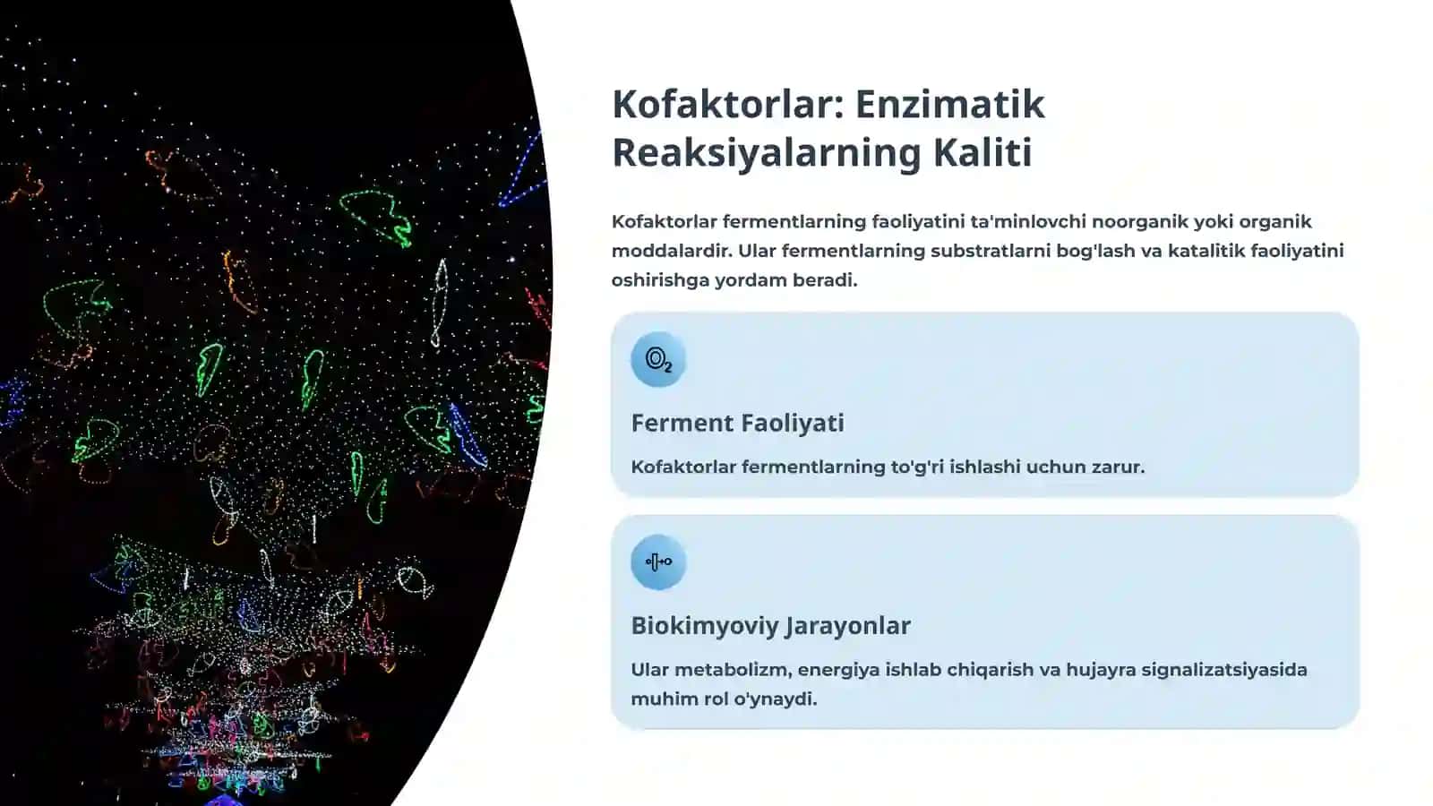 Vitaminlar, Kofaktorlar va Temir Preparatlarining Klinik Farmakologiyasi 4