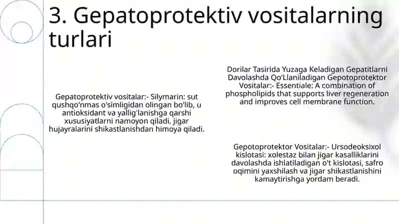 Gepotoprotektor Vositalar 4