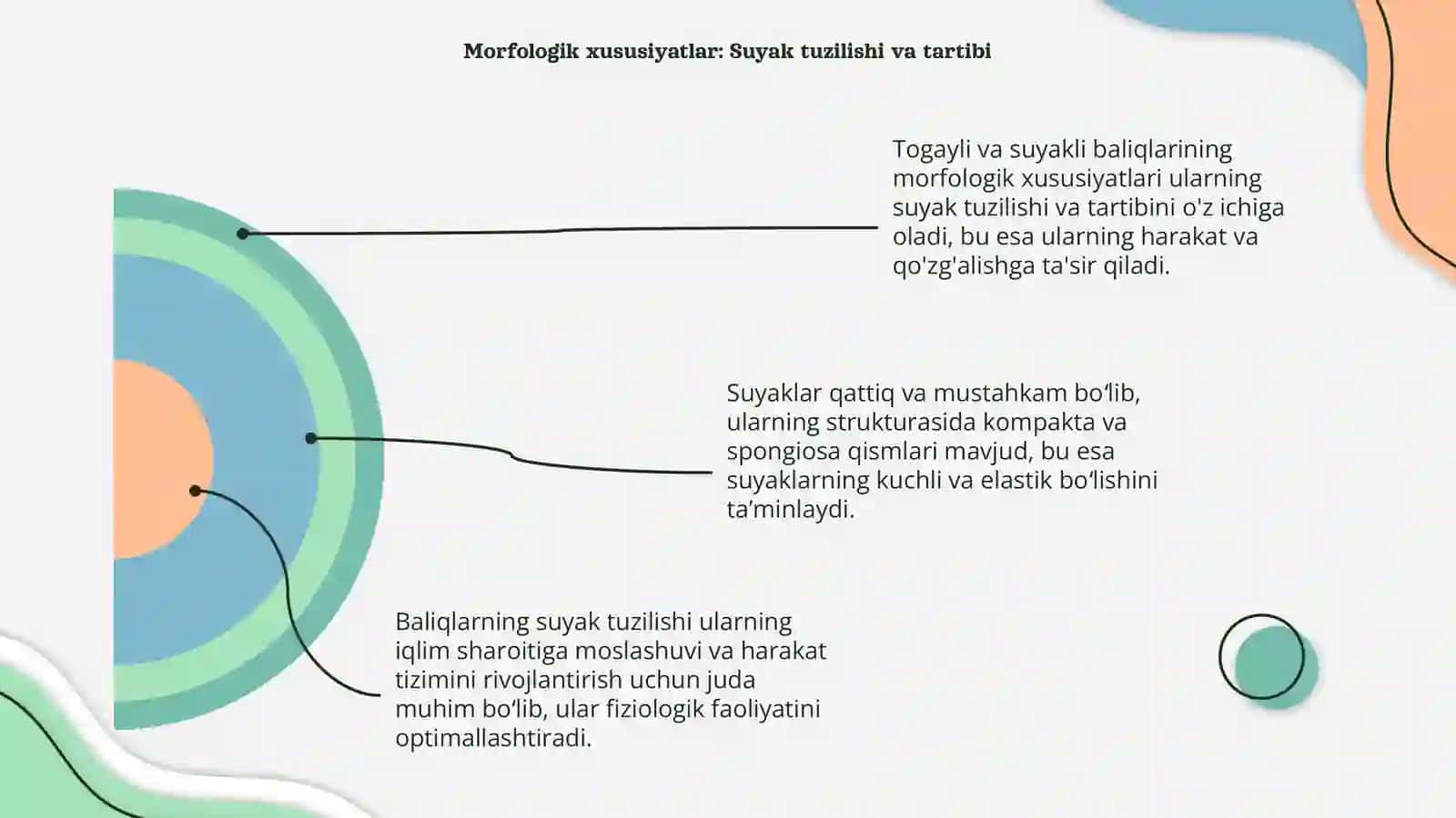 Togayli va suyakli baliqlarning morfologik va fiziologik xususiyatlariga qiyisiy tarif 4
