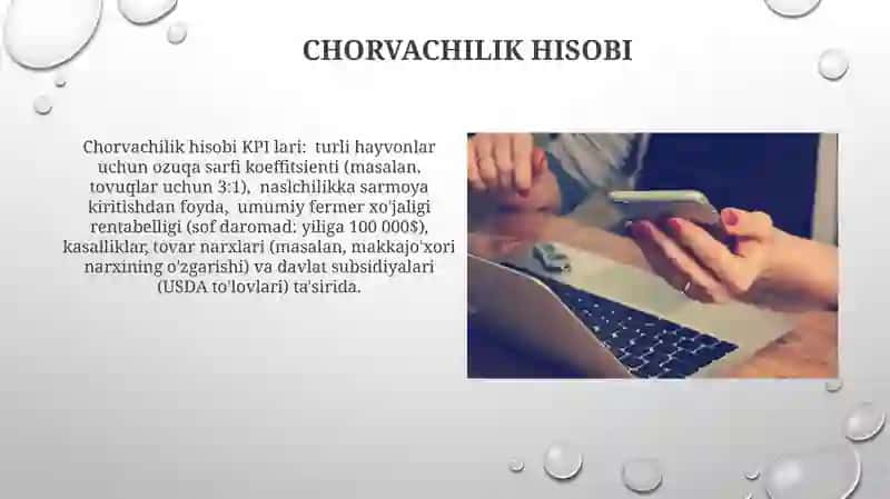 Samarali kredit boshqaruvi uchun buxgalteriya dasturlari (QuickBooks, AgTools) yordamida fermerlar uchun moliyaviy hisobotlar 4