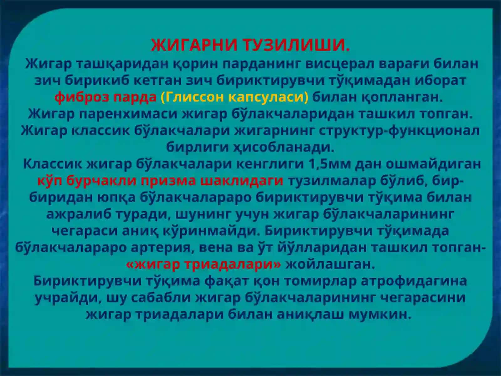 ҲАЗМ БЕЗЛАРИ. Жигар ва ўт йўллари. Меъда ости бези 4