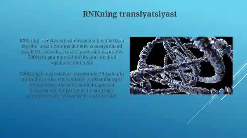 DNK molekulasining genetik axborotni va irsiy belgilarni saqlashdagi roli 4