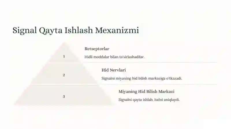 Hid Bilish Organining Tuzilishi 4