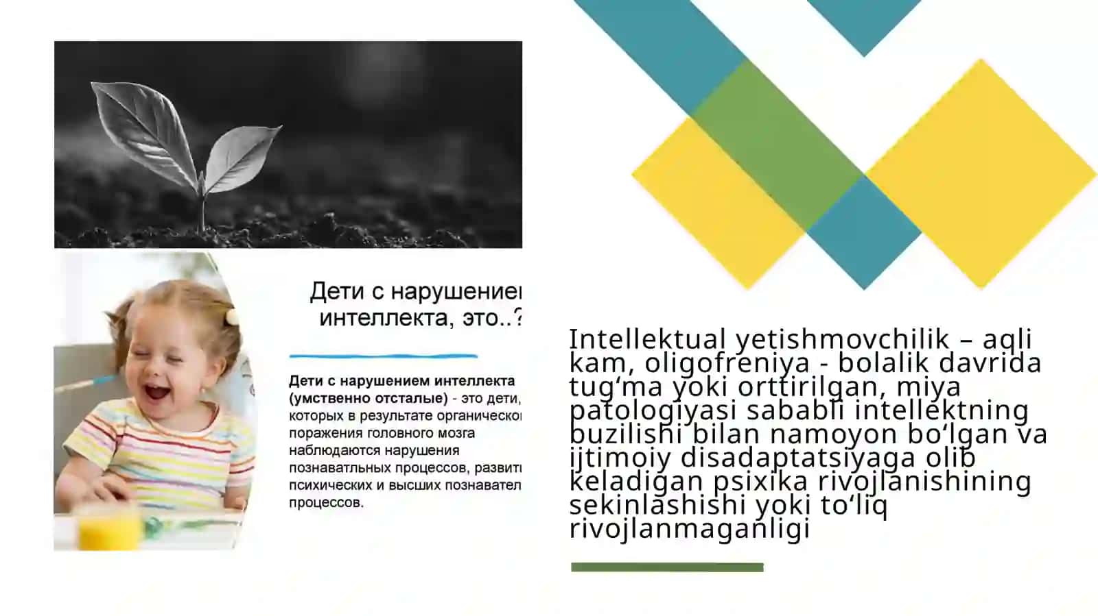 Turli darajadagi intellektual yetishmovchiligi bo'lgan va sensor kamchiliklarga ega bo'Igan bolalar uchun inklyuziv ta'lim strategiyalari va ularni amalga oshirish shart-sharoitlari 4