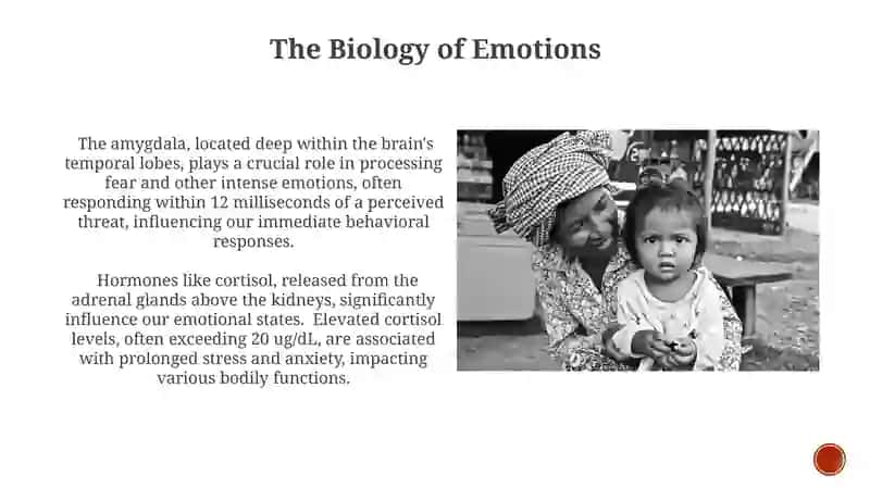 Emotional Regulation and Well-being 4