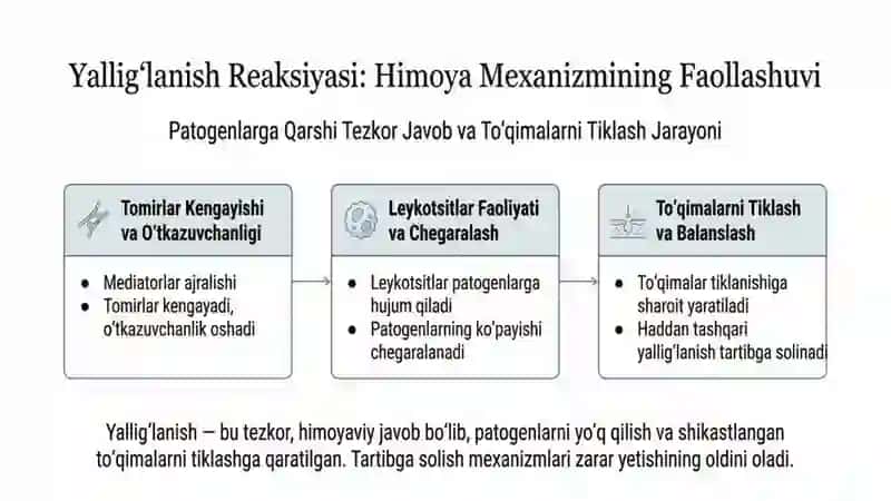 Organizmning patogen mikroorganizmga qarshi himoya usullari 4