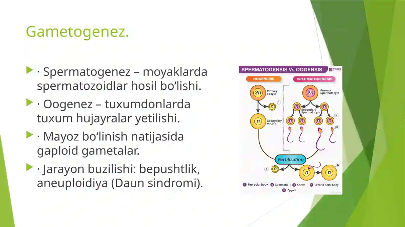 Tibbiy biologiya. Umumiy genetika 4