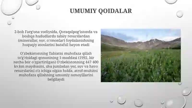 O'zbekiston Respublikasi Tabiatni muhofaza qilish to'g'risida qonun 4