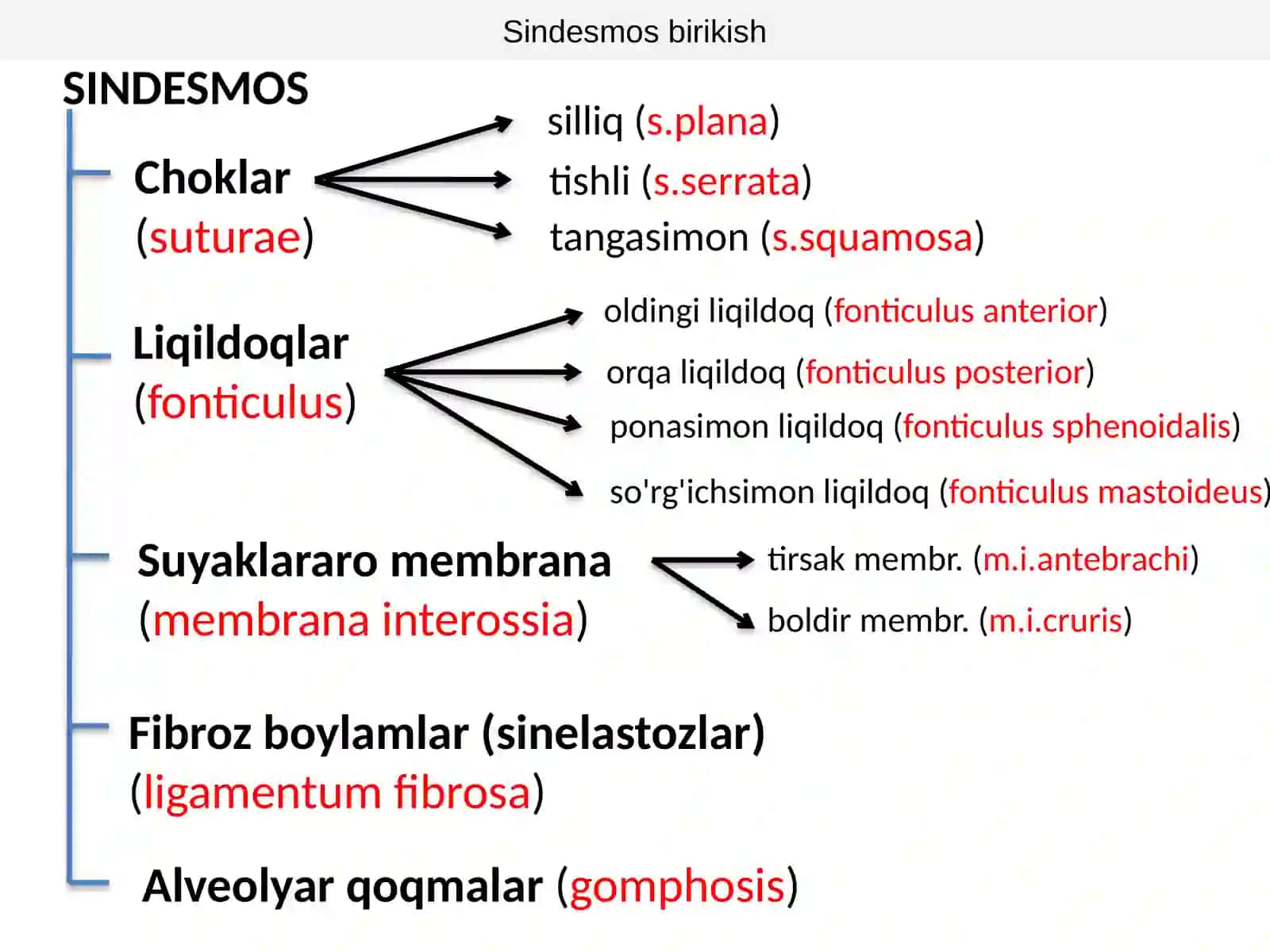 SUYAKLARBIRIKISHI 4