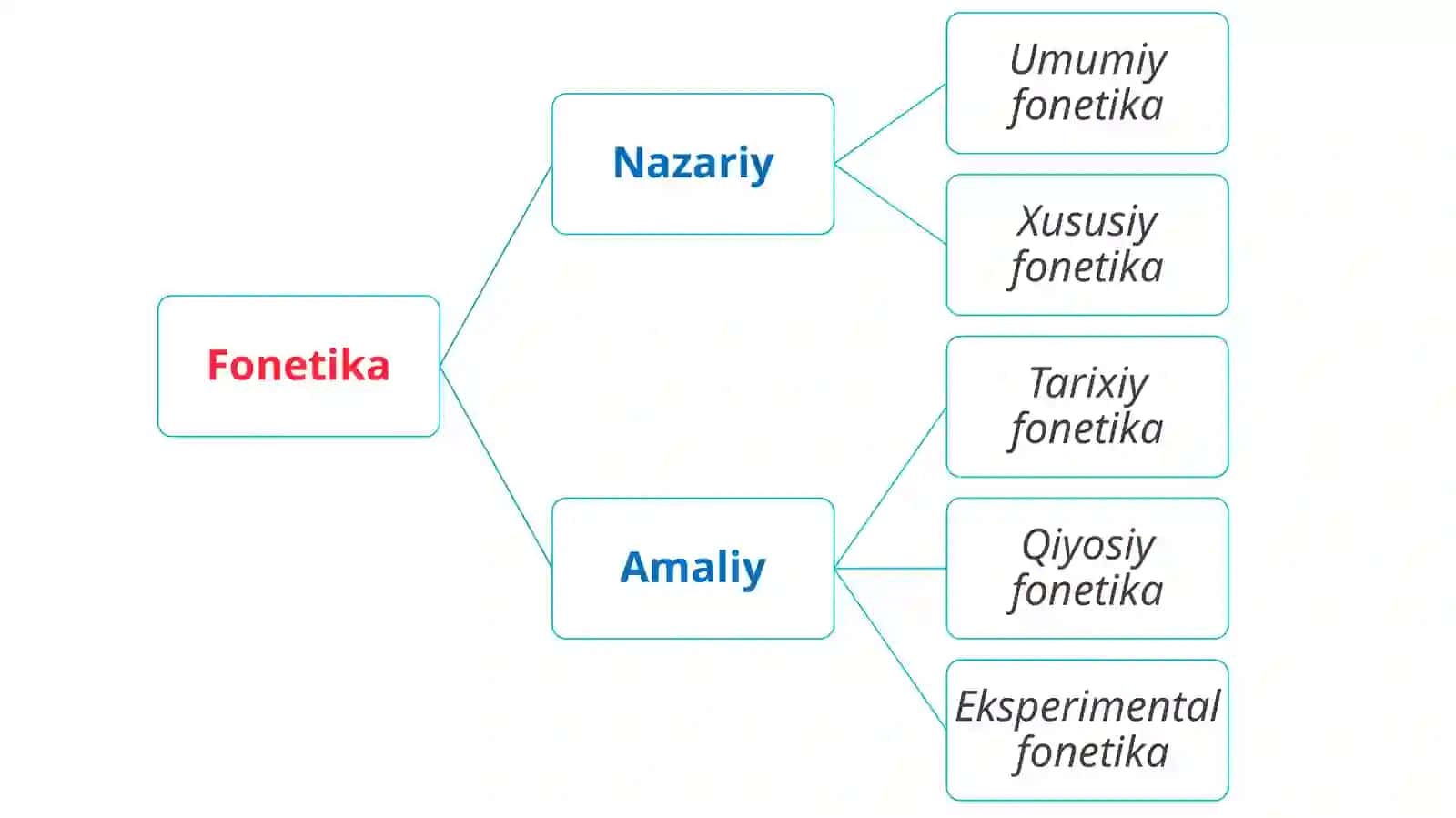 FONETIKA VA FONOLOGIYA 4