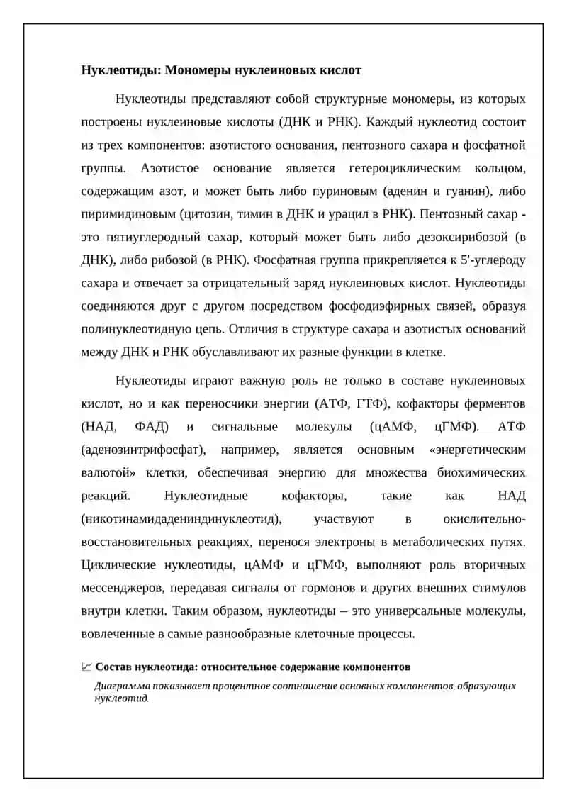 Нуклеиновые кислоты, нуклеотиды. РНК и ДНК 4