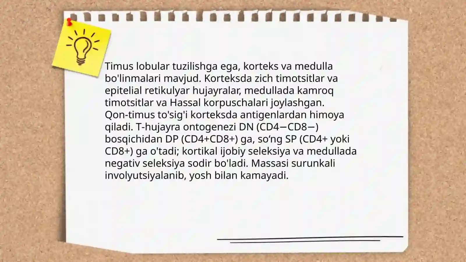 Immun-himoya reaksiyalarining morfologik asoslari 4