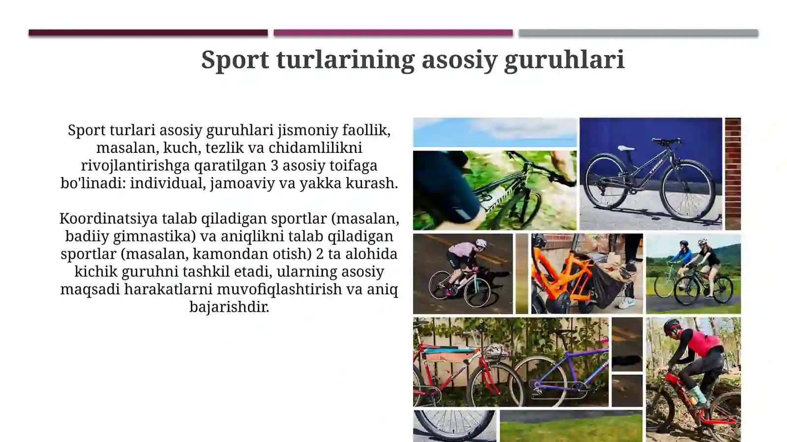 Sport turlari va ularni tasniflanishi 4