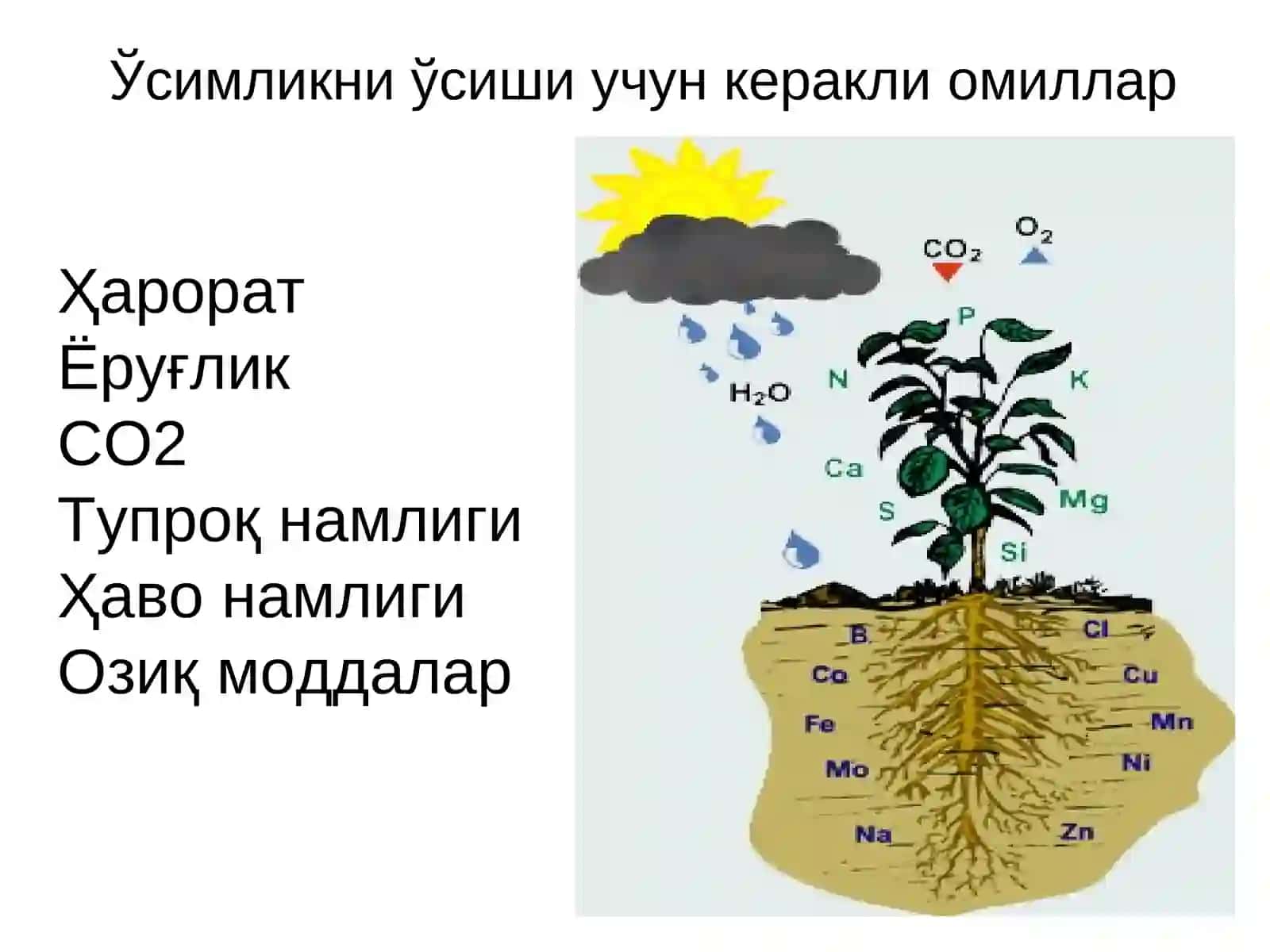 Экологик муҳит омилларининг умумий тавсифи ва сабзавот экинларининг ҳароратга муносабати 4