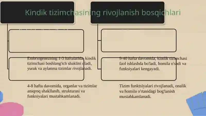 Kindik tizimchasining rivojlanishi, tuzilishi vavazifalari. Ona-homila tizimi. 4