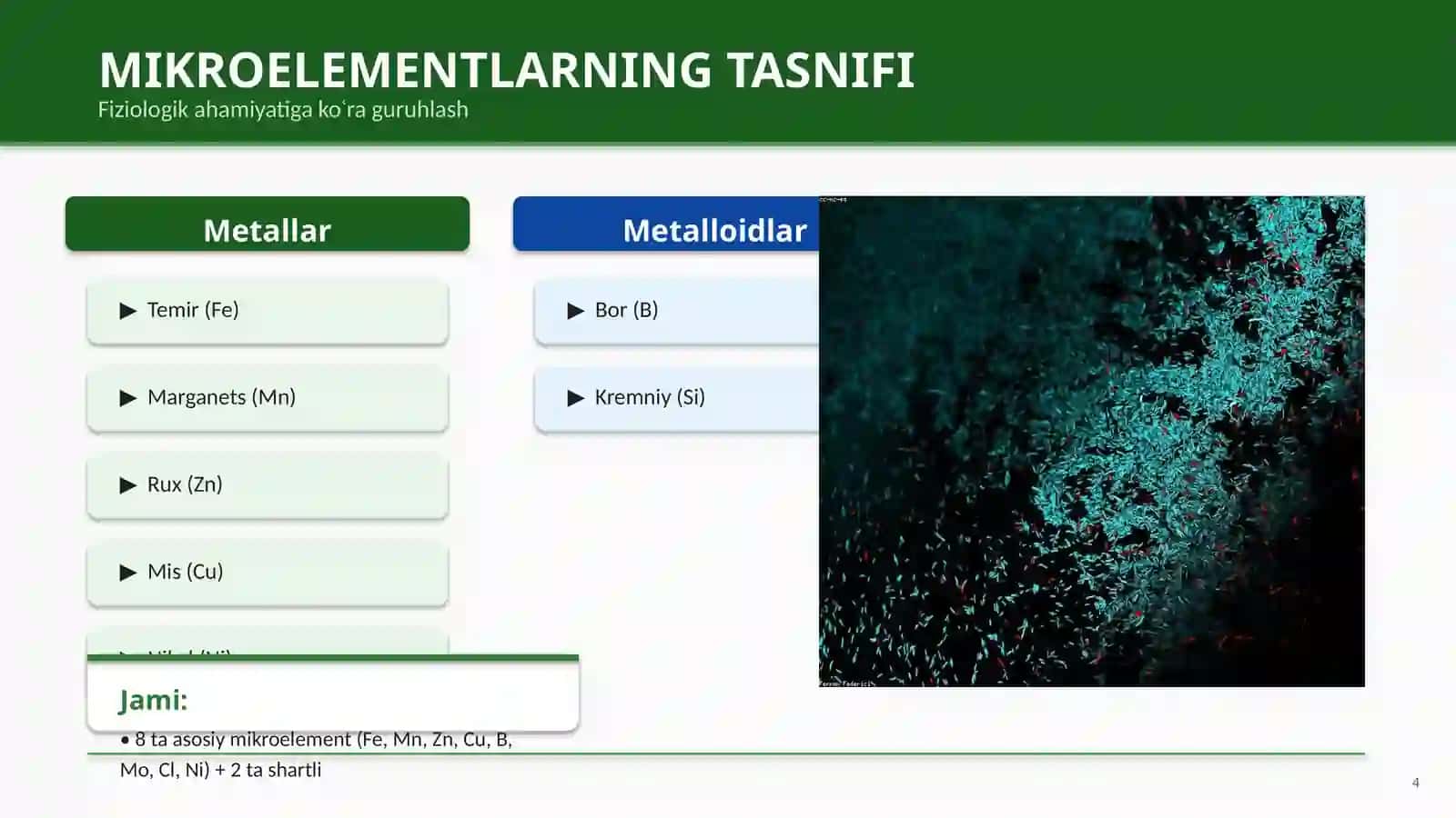 MIKROELEMENTLAR VA ULARNING FIZIOLOGIK AHAMIYATI 4